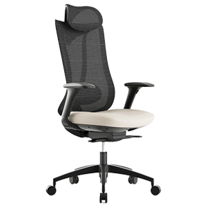 Ergonomische Schreibtischstühle